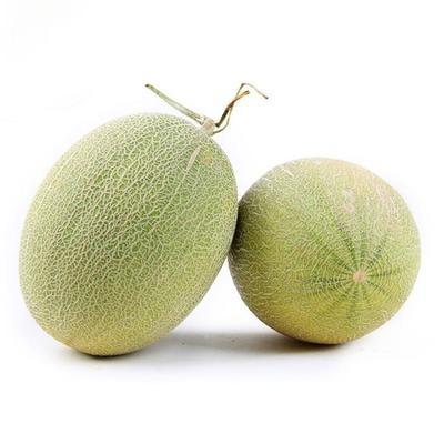 西洲蜜瓜约3kg 商品图1