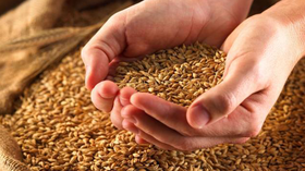 失业日记（十四）劝饭