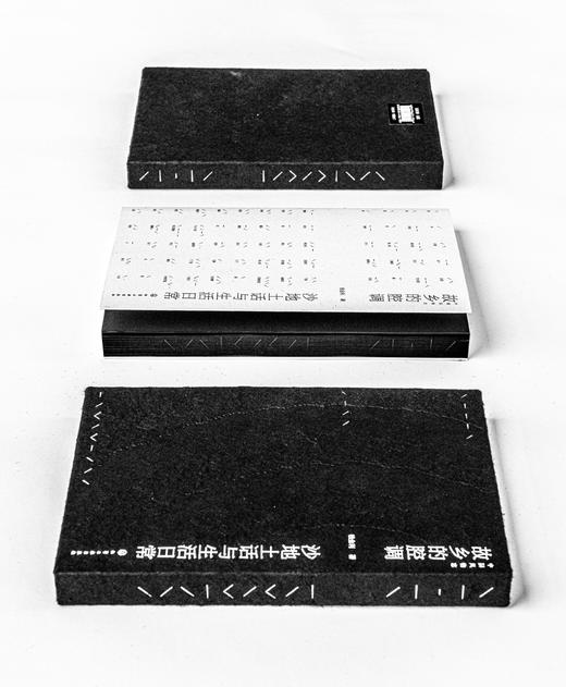 中国风物志 故乡的腔调 沙地土话与生活日常西方绘画艺术名画鉴赏书籍 追寻隐秘在美貌之后不被世人知晓的故事追踪作品中美光和影 商品图3