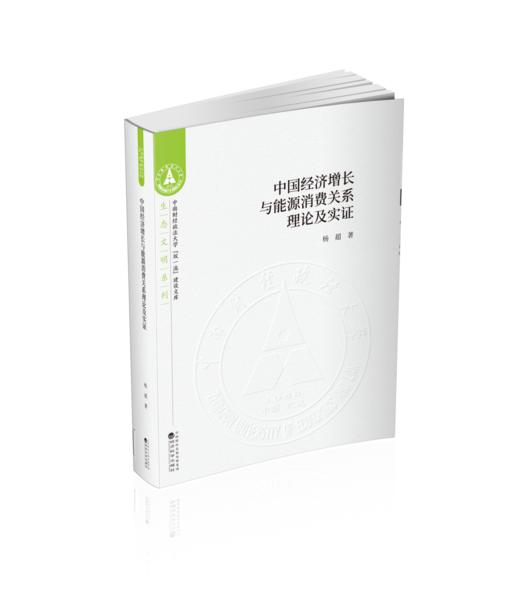 中国经济增长与能源消费关系理论与实证 商品图0