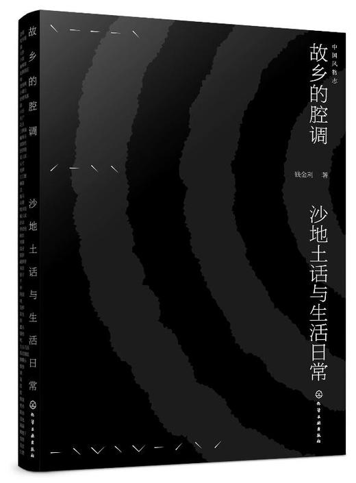 中国风物志 故乡的腔调 沙地土话与生活日常西方绘画艺术名画鉴赏书籍 追寻隐秘在美貌之后不被世人知晓的故事追踪作品中美光和影 商品图0