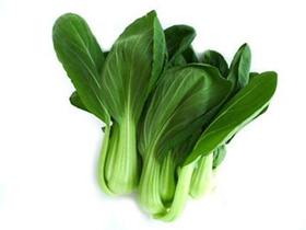 【时令蔬菜】上海青500g±20g