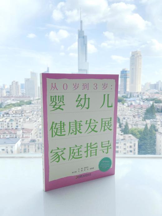 从0岁到3岁：婴幼儿健康发展家庭指导 商品图0