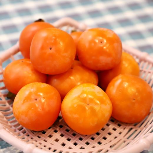 陕西金钱柿子 1斤 商品图1