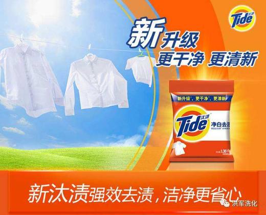 汰渍净白去渍508G*12包 商品图1