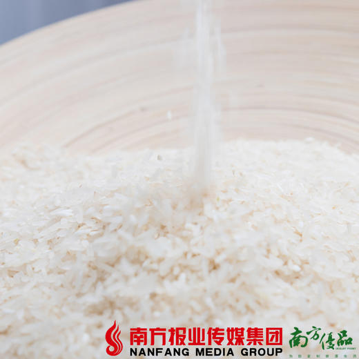 【全国包邮】七拱丝苗米  5kg /包 （72小时之内发货） 商品图3