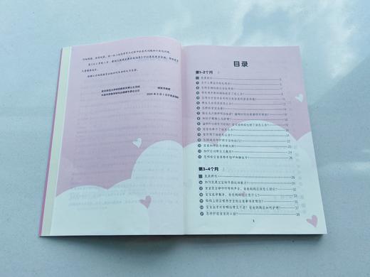 从0岁到3岁：婴幼儿健康发展家庭指导 商品图1