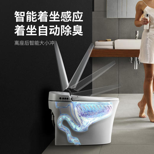 飞利浦 [ PHILIPS ] 智能马桶一体机全自动即热智能坐便器 AIB6357/93 商品图3