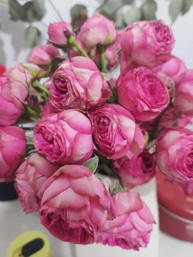 酒店SYP的酒店双早优惠价