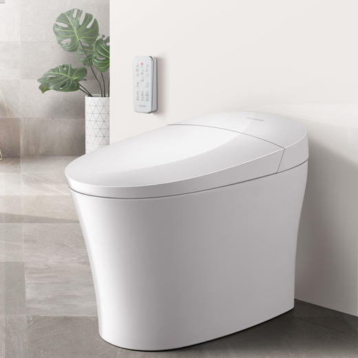 飞利浦 [ PHILIPS ] 智能马桶一体机全自动即热智能坐便器 AIB6357/93 商品图1