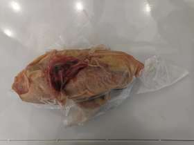 坡芽山鸡（母鸡）冷冻