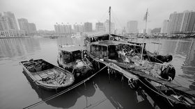 失业日记（二十三）老蛇口的味道