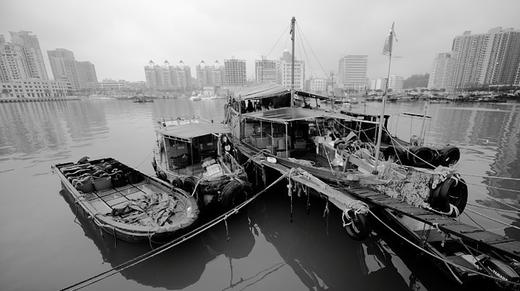 失业日记（二十三）老蛇口的味道 商品图0