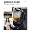 摩飞MR6088煮茶器 商品缩略图5