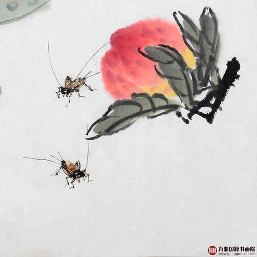 姬朝晖《福寿图》50*50cm 花鸟斗方作品 餐厅/茶室/卧室挂画 商品图5