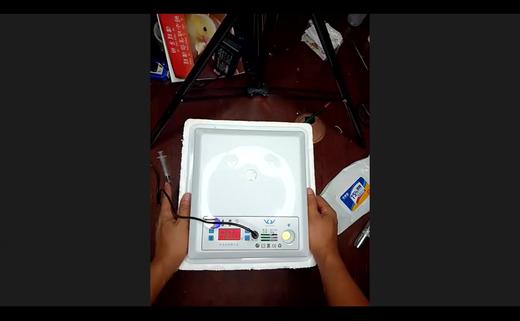 孵小鸡二期专家讲座3-照蛋观察小鸡 商品图0