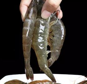 鲜活基围虾 1kg/份（次日送到）