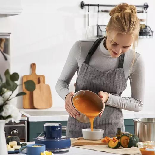 摩飞MR9401食物处理器 商品图4