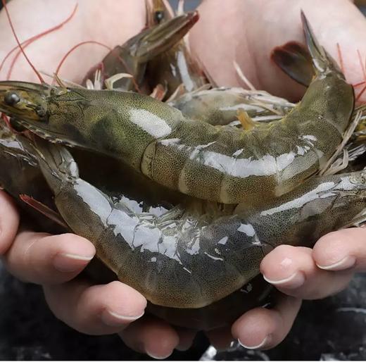 鲜活基围虾 1kg/份（次日送到） 商品图1