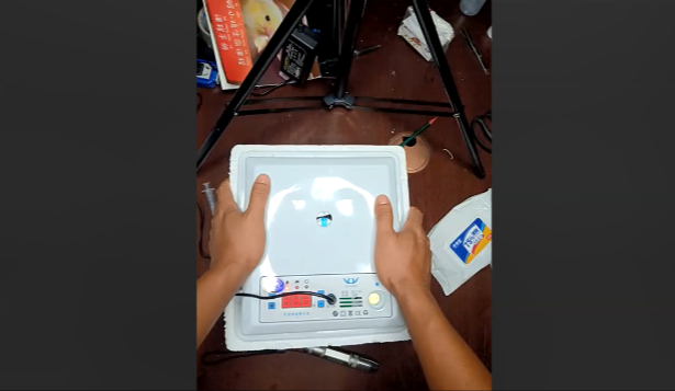 线上孵小鸡课专家讲座03：14天的小鸡变化和孵蛋器调整