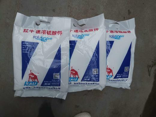 郑果丰  德国红牛速溶硫酸钾 商品图3