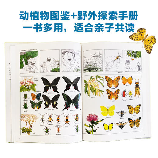 和爸爸去森林探险 松冈达英著 3-6岁 儿童科普绘本自然森林野外探险图鉴 图书 商品图3