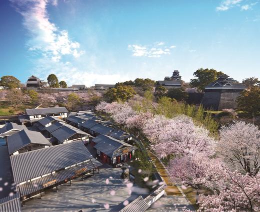 熊本城 商品图0