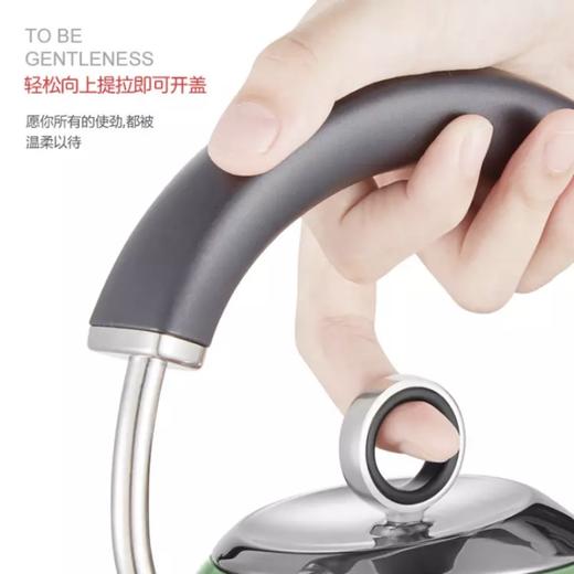 摩飞MR7456A电水壶 商品图2