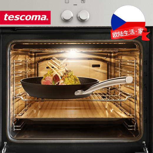 捷克进口/tescoma 石面不粘锅平底锅石面煎锅28cm 商品图2