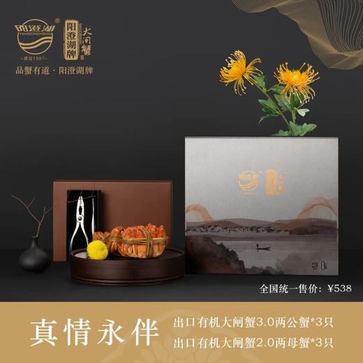 【阳澄湖牌大闸蟹·礼券】有机大闸蟹系列《真情永伴》 出口品质 商品图1