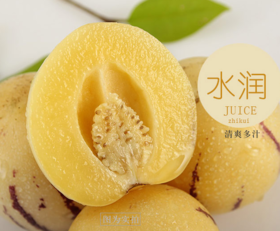 人参果    500g/份