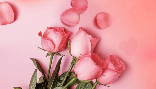 浪漫玫瑰 商品图0