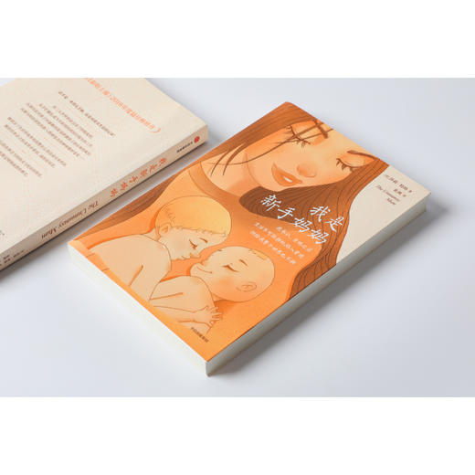 新书预售 我是新手妈妈 莎莉特纳 著 家庭教育 育儿博文集合 缓解孕期压力 宝妈 宝爸 备孕书 缓解生育焦虑 中信 商品图2