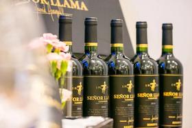 来自智利的名流绅士—羊驼先生