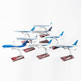 福州分店-厦门航空纪念版珍藏飞模套装