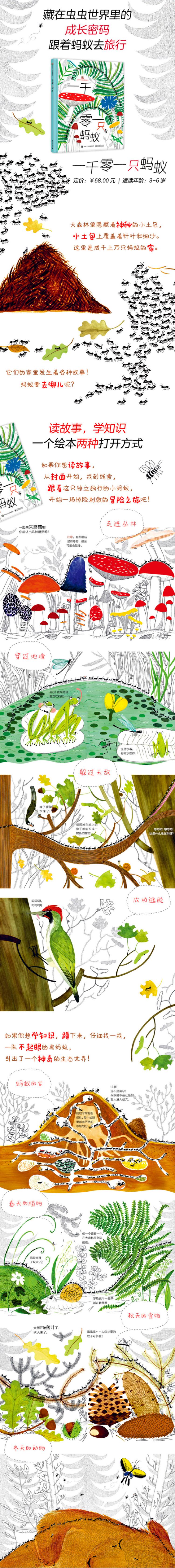 一千零一只蚂蚁