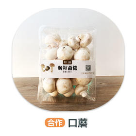 口蘑（严选）（±40g/份）