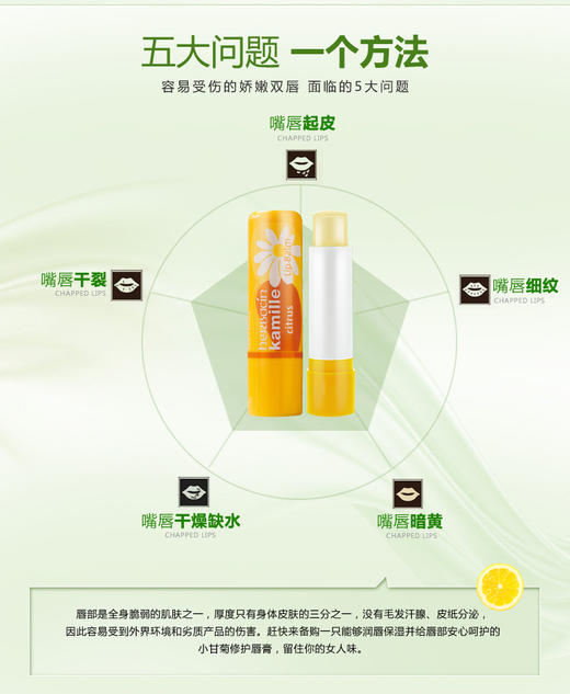 德国贺本清小甘菊修护唇膏 商品图2