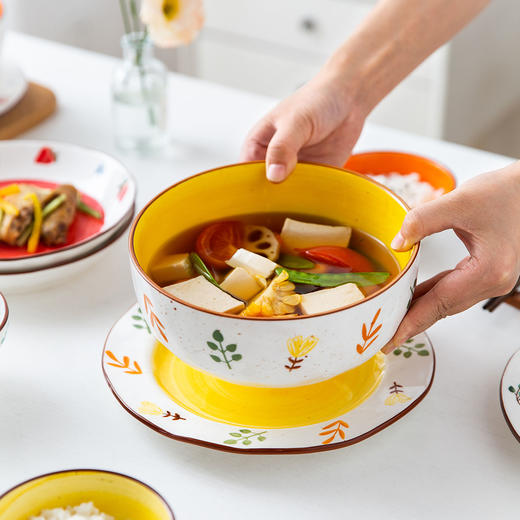 摩登主妇原创花韵碗盘餐具套装家用陶瓷饭碗勺子菜盘子大号汤碗 商品图2