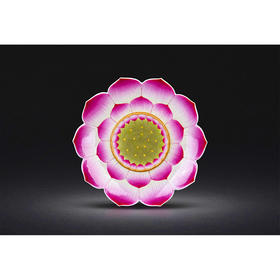 手绘珐琅彩莲花盘