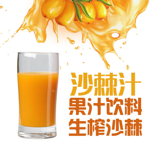 沙棘汁 商品图0