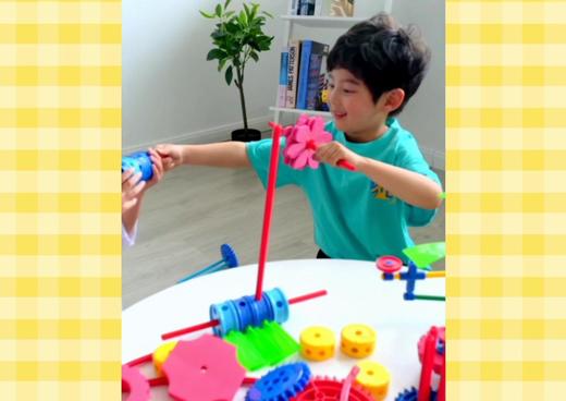 大颗粒智力齿轮 商品图0