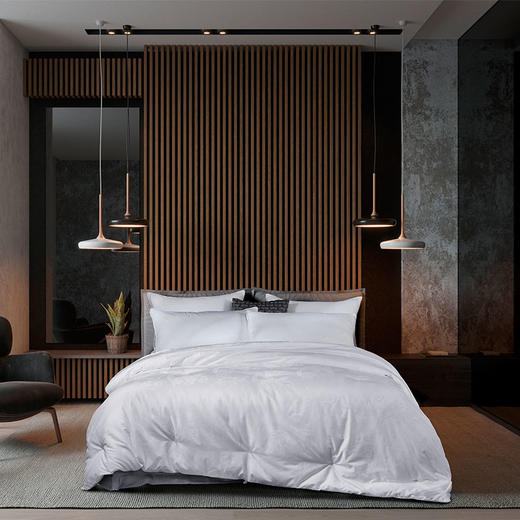 ZD·尊贵蚕丝被舒适被芯2m 商品图1