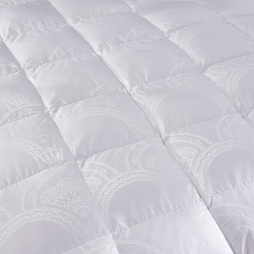 ZD·富贵鹅绒被芯加厚保暖被 商品图3