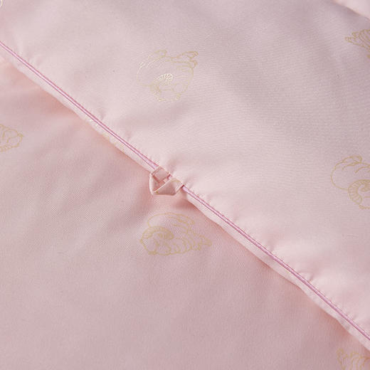 ZD·纤柔复合被被芯单双人2m 商品图2