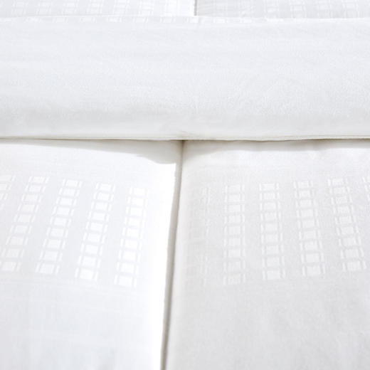 ZD·珍品蚕丝被保暖被芯2m 商品图3