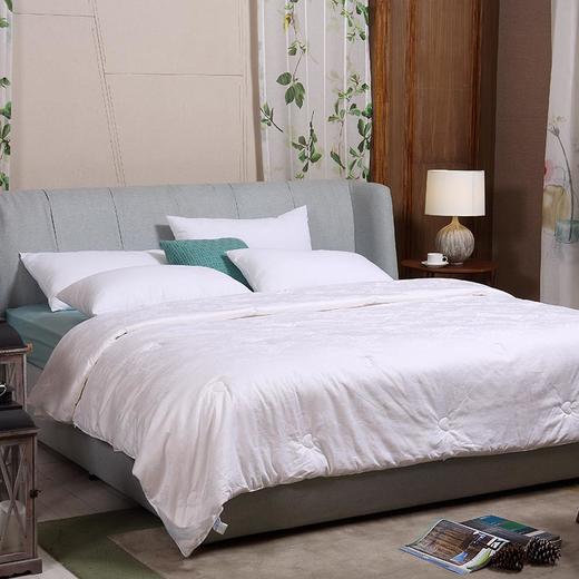 ZD·尚雅蚕丝被被芯四季被2m 商品图0