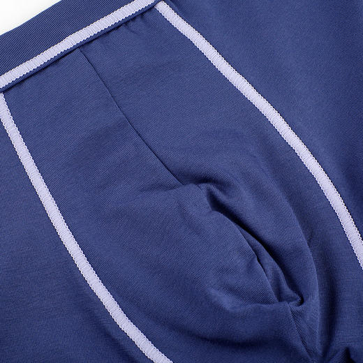 雅黛丽2020新款男士青年内裤舒适透气中腰简约平角内裤DYT03207 商品图4