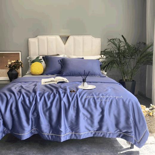 ZD·22°C《时尚蓝》新品60天丝夏被被芯1.8m床 商品图0