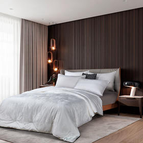 ZD·尊贵蚕丝被舒适被芯2m